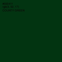 #033411 - County Green Color Image