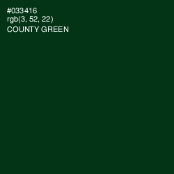 #033416 - County Green Color Image
