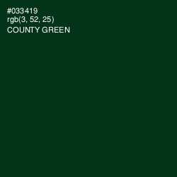 #033419 - County Green Color Image