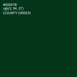 #03361B - County Green Color Image