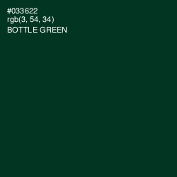 #033622 - Bottle Green Color Image