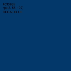 #03386B - Regal Blue Color Image