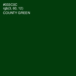 #033C0C - County Green Color Image