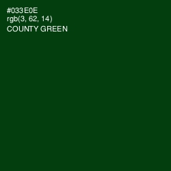 #033E0E - County Green Color Image