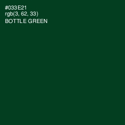 #033E21 - Bottle Green Color Image