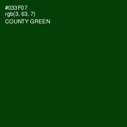 #033F07 - County Green Color Image
