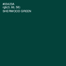 #03423A - Sherwood Green Color Image