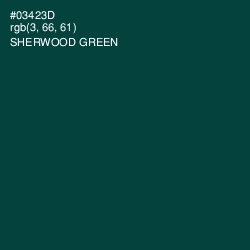 #03423D - Sherwood Green Color Image