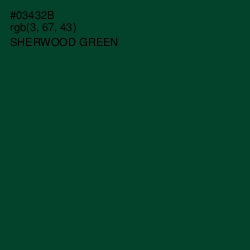 #03432B - Sherwood Green Color Image