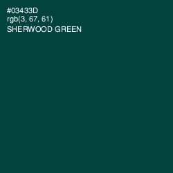 #03433D - Sherwood Green Color Image