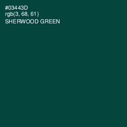 #03443D - Sherwood Green Color Image
