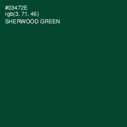 #03472E - Sherwood Green Color Image