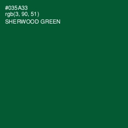 #035A33 - Sherwood Green Color Image