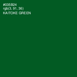 #035B24 - Kaitoke Green Color Image