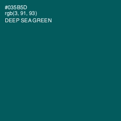 #035B5D - Deep Sea Green Color Image