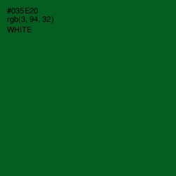 #035E20 - Kaitoke Green Color Image