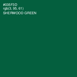 #035F3D - Sherwood Green Color Image