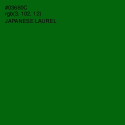 #03660C - Japanese Laurel Color Image