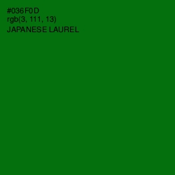 #036F0D - Japanese Laurel Color Image