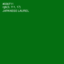 #036F11 - Japanese Laurel Color Image