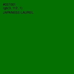 #037001 - Japanese Laurel Color Image