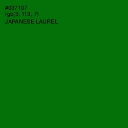 #037107 - Japanese Laurel Color Image