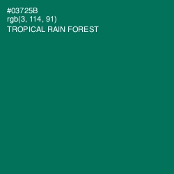 #03725B - Tropical Rain Forest Color Image