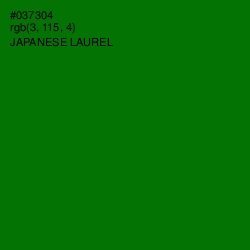 #037304 - Japanese Laurel Color Image