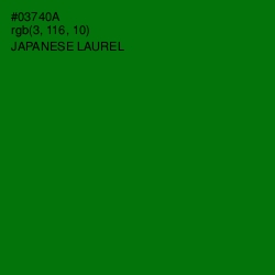 #03740A - Japanese Laurel Color Image