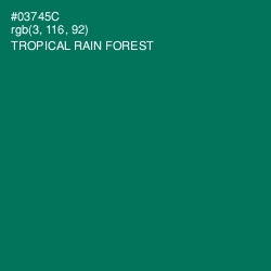 #03745C - Tropical Rain Forest Color Image