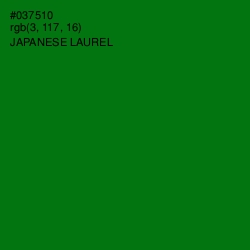 #037510 - Japanese Laurel Color Image