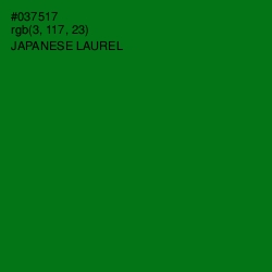 #037517 - Japanese Laurel Color Image