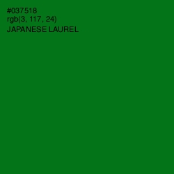 #037518 - Japanese Laurel Color Image