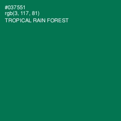 #037551 - Tropical Rain Forest Color Image