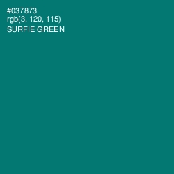 #037873 - Surfie Green Color Image