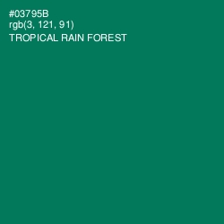 #03795B - Tropical Rain Forest Color Image