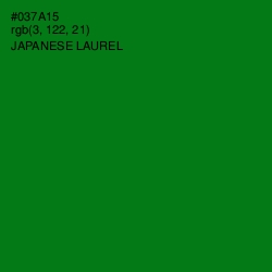 #037A15 - Japanese Laurel Color Image