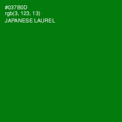 #037B0D - Japanese Laurel Color Image