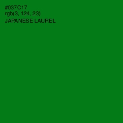 #037C17 - Japanese Laurel Color Image