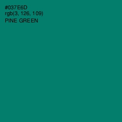 #037E6D - Pine Green Color Image