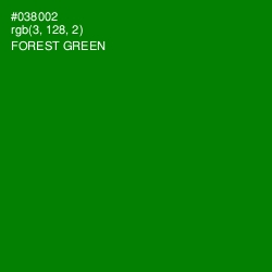 #038002 - Forest Green Color Image