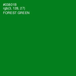 #03801B - Forest Green Color Image