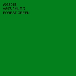 #03801B - Forest Green Color Image