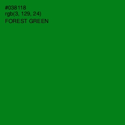 #038118 - Forest Green Color Image