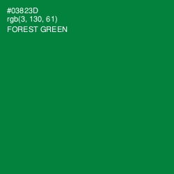 #03823D - Forest Green Color Image