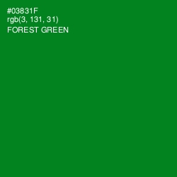 #03831F - Forest Green Color Image