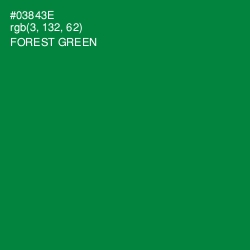 #03843E - Forest Green Color Image