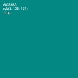 #038883 - Teal Color Image