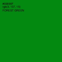 #03890F - Forest Green Color Image