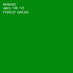 #038A0C - Forest Green Color Image